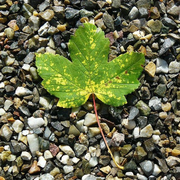 5 Reasons I'm Excited For Fall