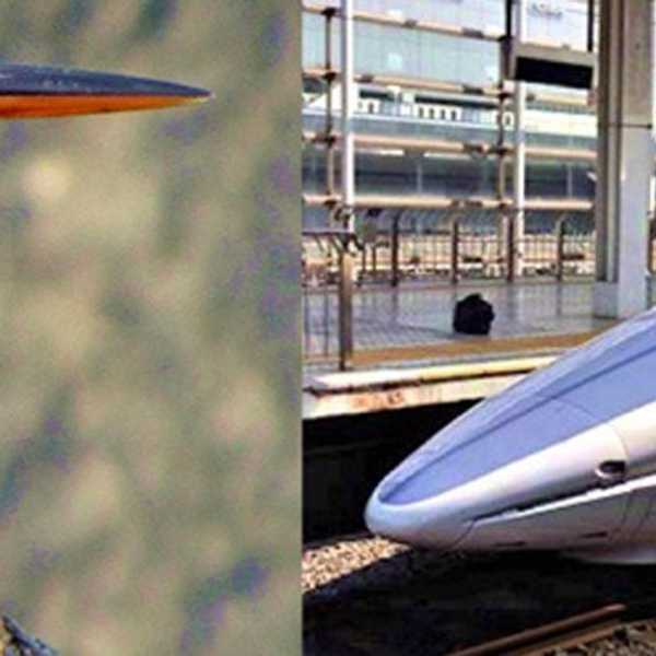 Imitation Of Life: 9 Ways Biomimicry Benefits Our World