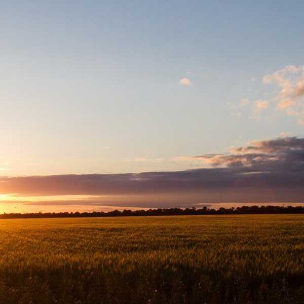 22 Reasons Why Life Is Too Short