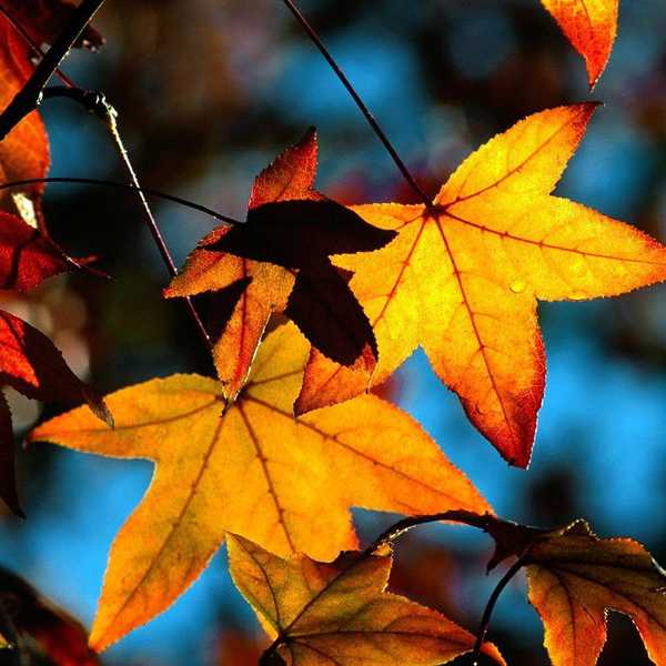 9 Absolutely Best Things About Fall