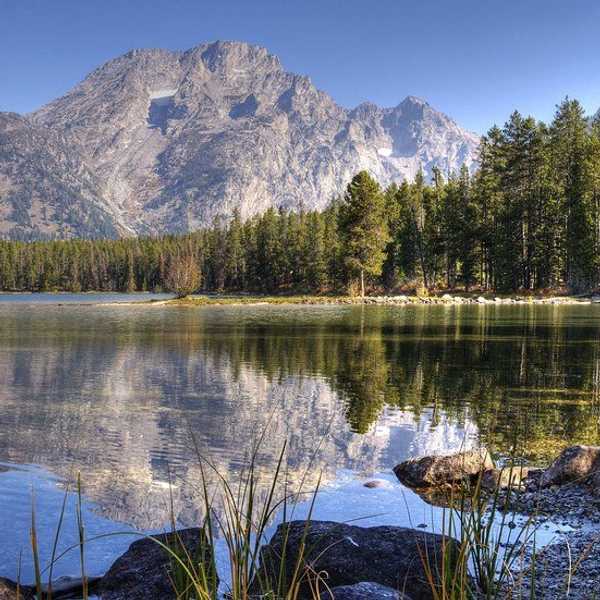 Live Life To The Fullest