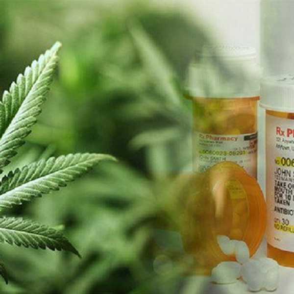 Why Marijuana Should Be Legalized Across The United States