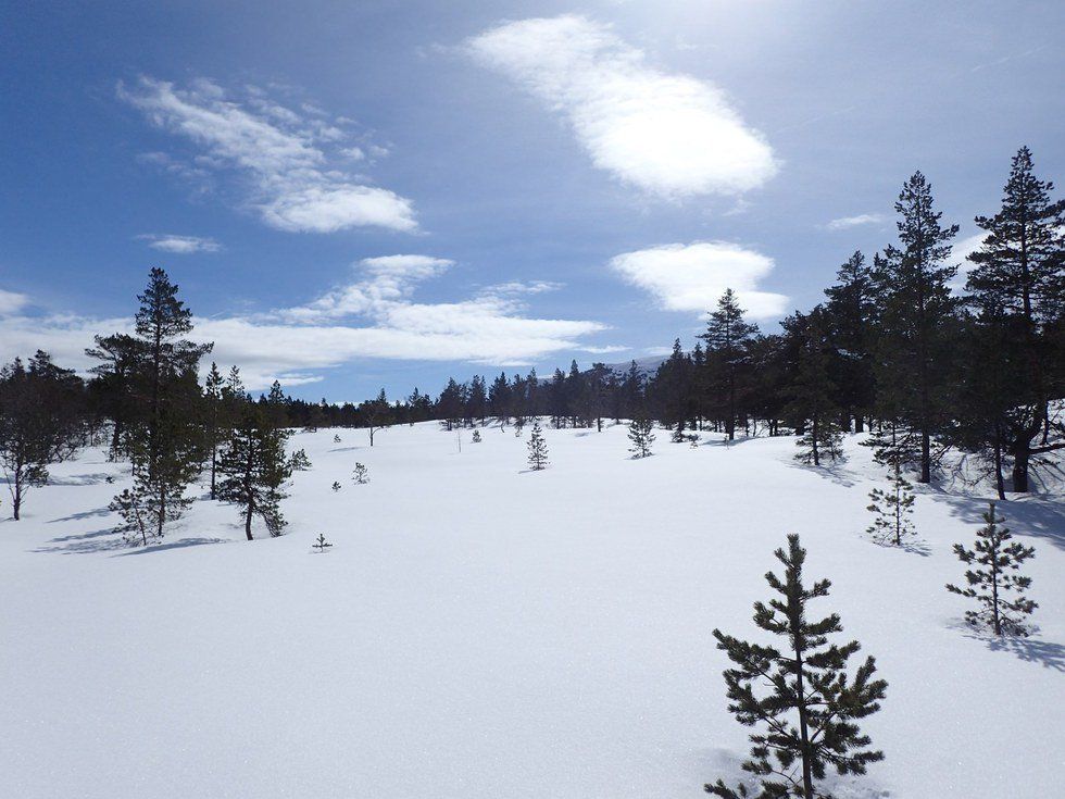 A Conversation With My Norwegian Friend