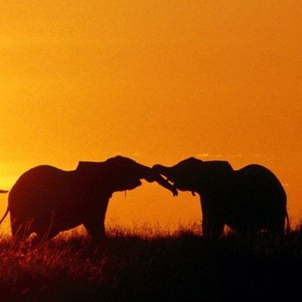 Helping Or Exploiting?