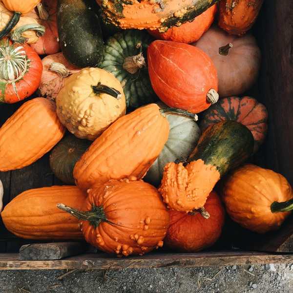 Change Of Seasons