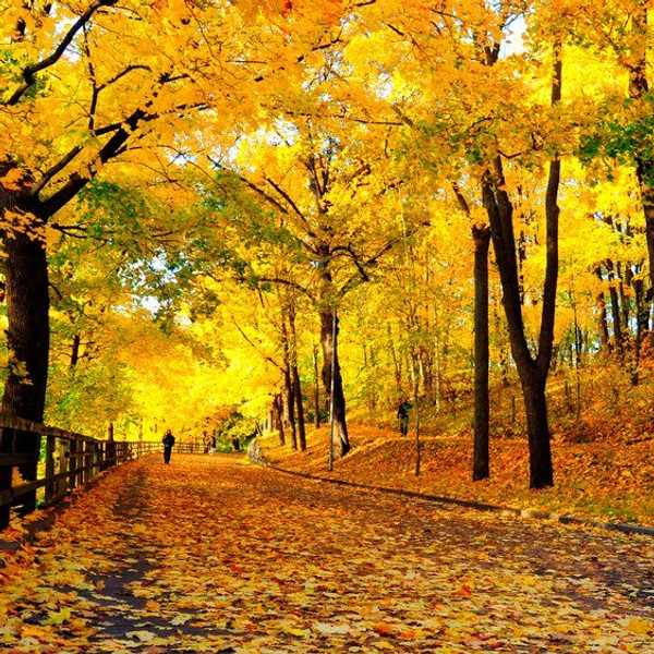 Fall Is Here!