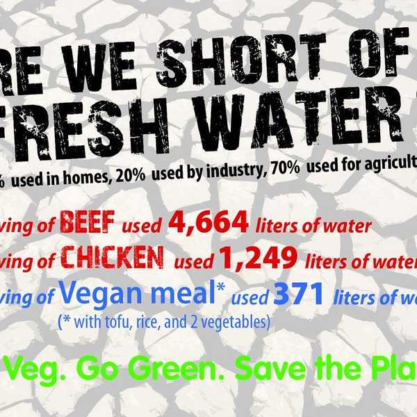 Hidden Costs Of Hamburgers