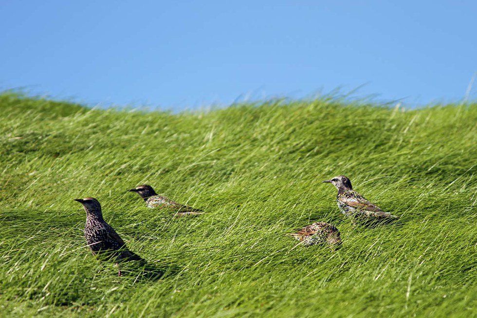 An Open Letter: Why I Like Having a Body