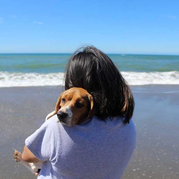 Pets And Their Roles In Our Wellness
