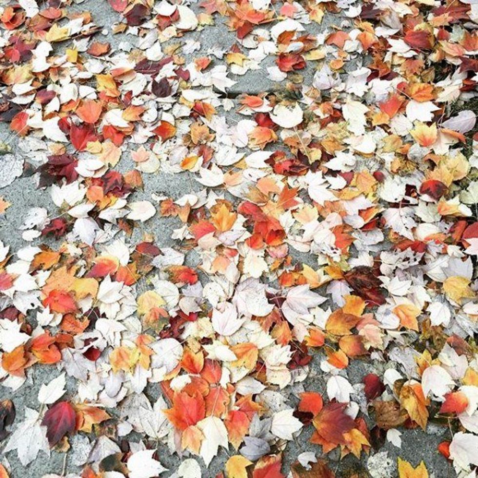 5 Summer Things That "Fall" Apart As Summer Begins