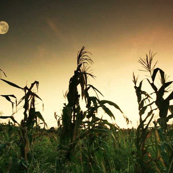 September Is The Worst Month, Here's Why