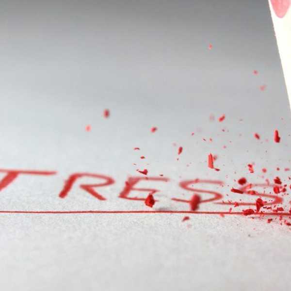 The Essential Guide To Stress