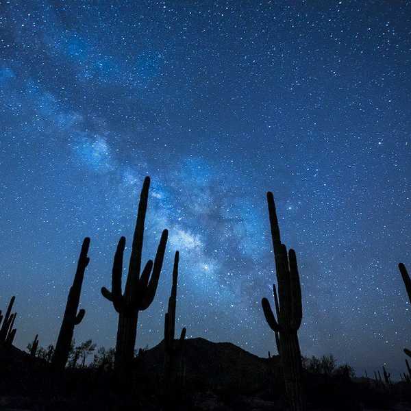 Why You Should Look at the Night Sky More Often