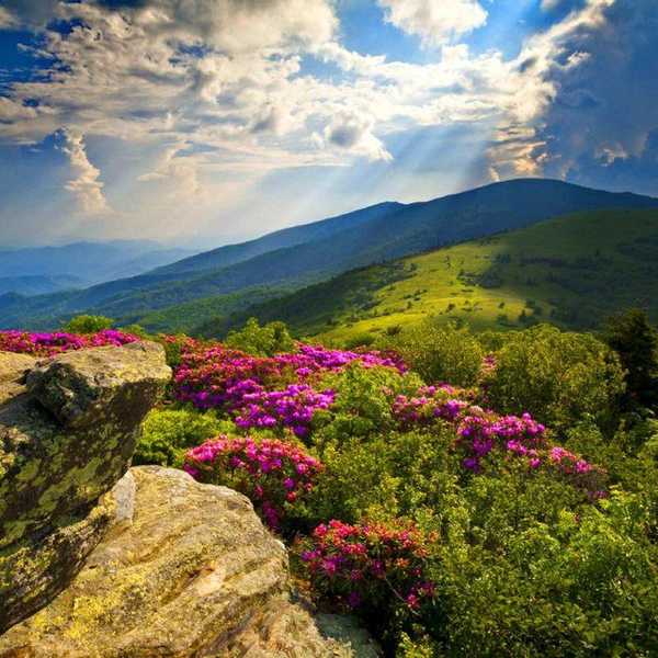 Top 5 Most Breathtaking Places In Western North Carolina