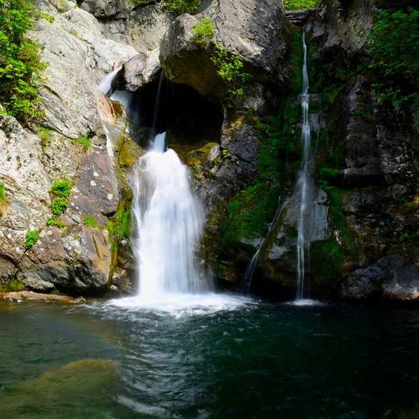 Ask Me About What's Right In This World