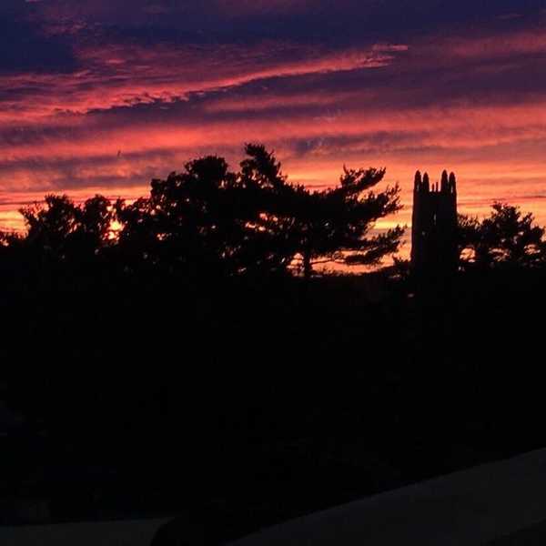 I'm Sorry That I Don't Love Wellesley