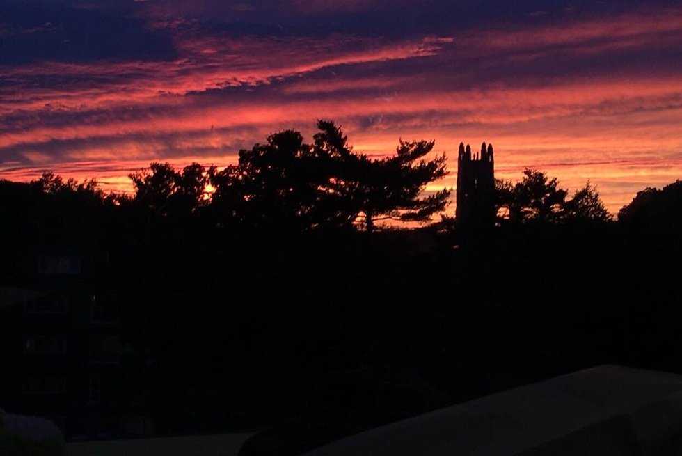 I'm Sorry That I Don't Love Wellesley