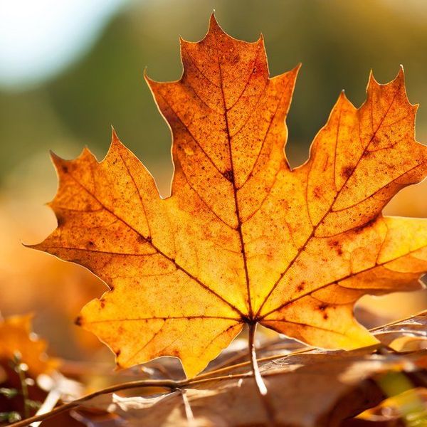 13 Things I Love About Autumn