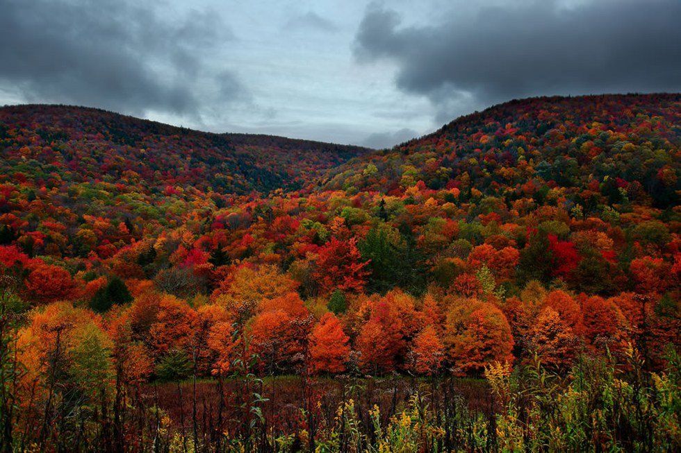 8 Reasons Why I'm Glad Fall Is Finally Here