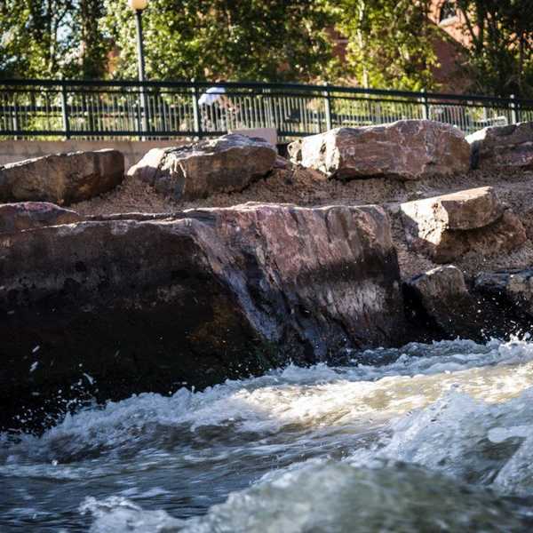 The Hardest Thing For A Child Can Be Losing A Parent