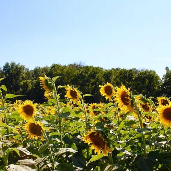 An Open Letter To The Heartbroken