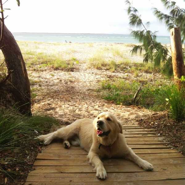 5 Things To Remember On Bad Days