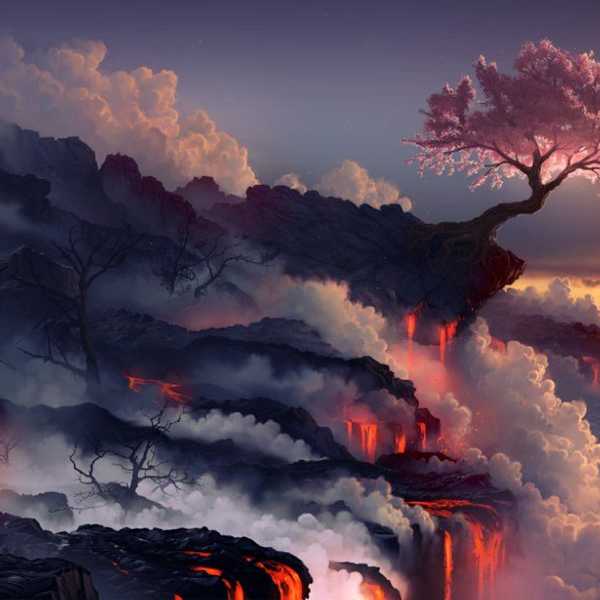 Beauty In The Midst of A Chaotic World