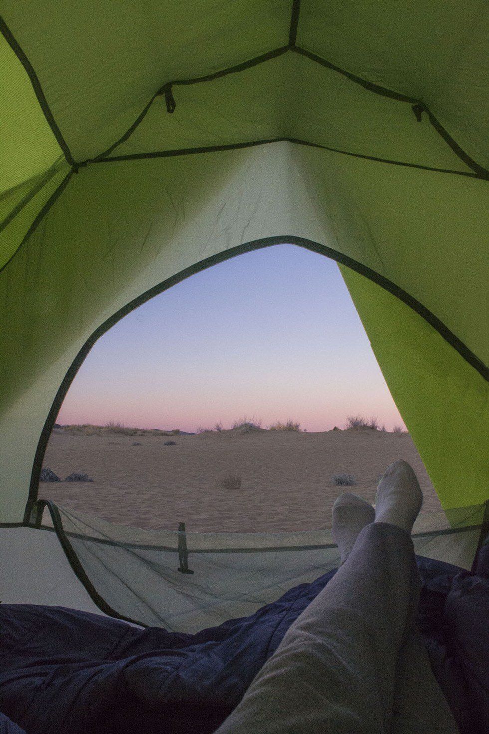 What The Earth Has Taught Me