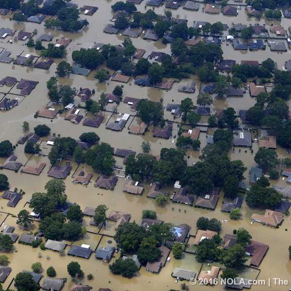 Hope After the Flood