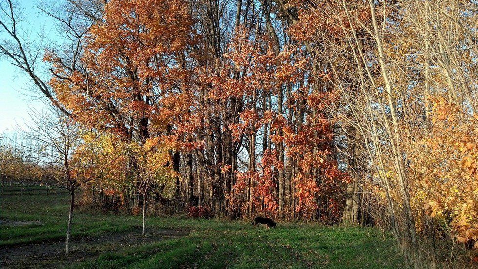 My Ultimate Fall Bucket List