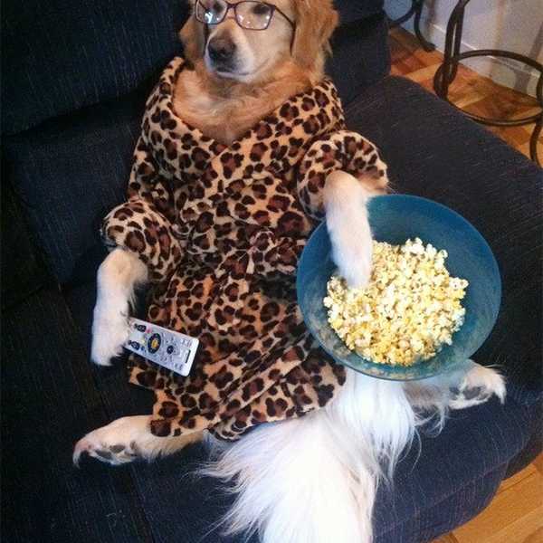 10 Best Documentaries On Netflix