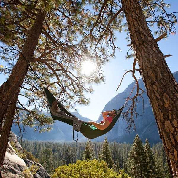 Reset and Recharge
