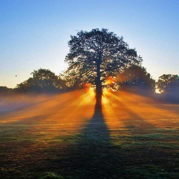 An Anchor For The Anxious