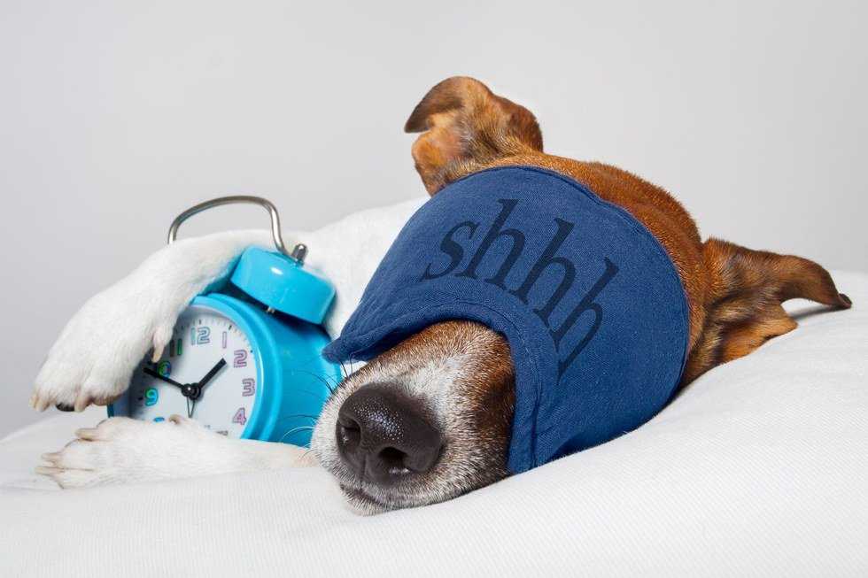 Are Long Naps Good For You?