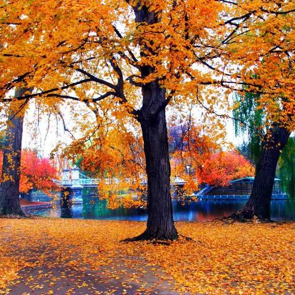 Why Fall Is My Favorite Season