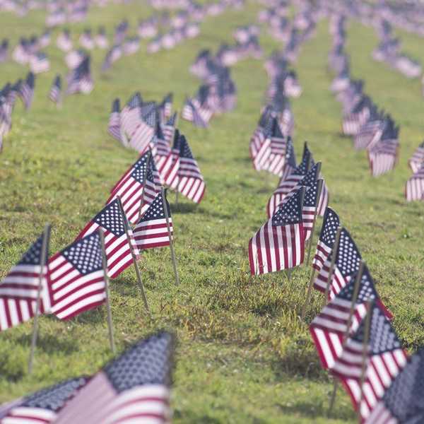 Why I Stand, And Always Will