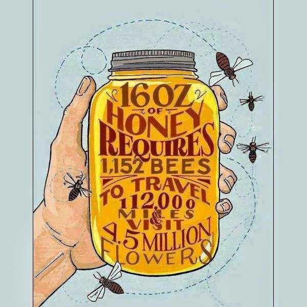 Bees Have Feelings Too