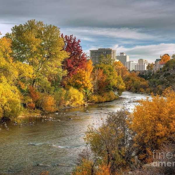 17 Activities To Do In Reno During The Fall Season