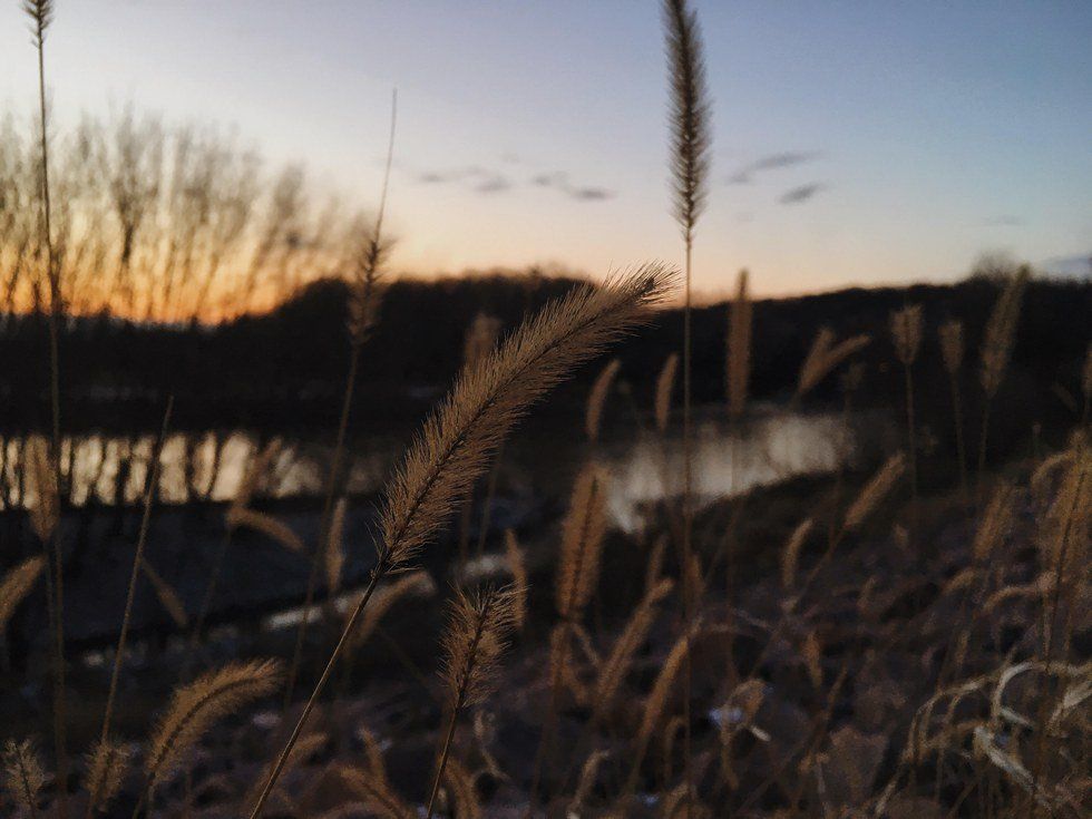 The Start Of A New Beginning