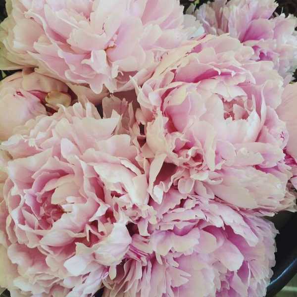 What People Don't Tell You About Long Distance