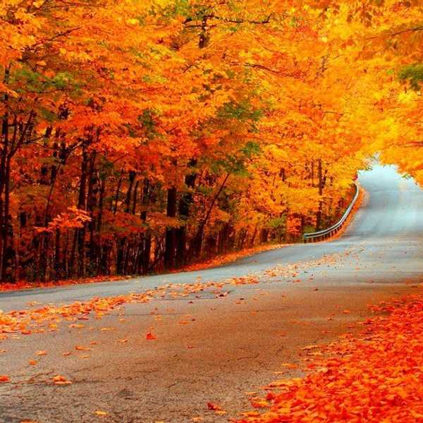 Changing With The Seasons