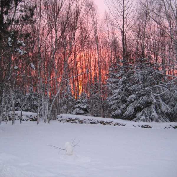 5 Things To Do In The Winter In Maine
