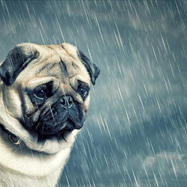 12 Things To Do When You Are Sad