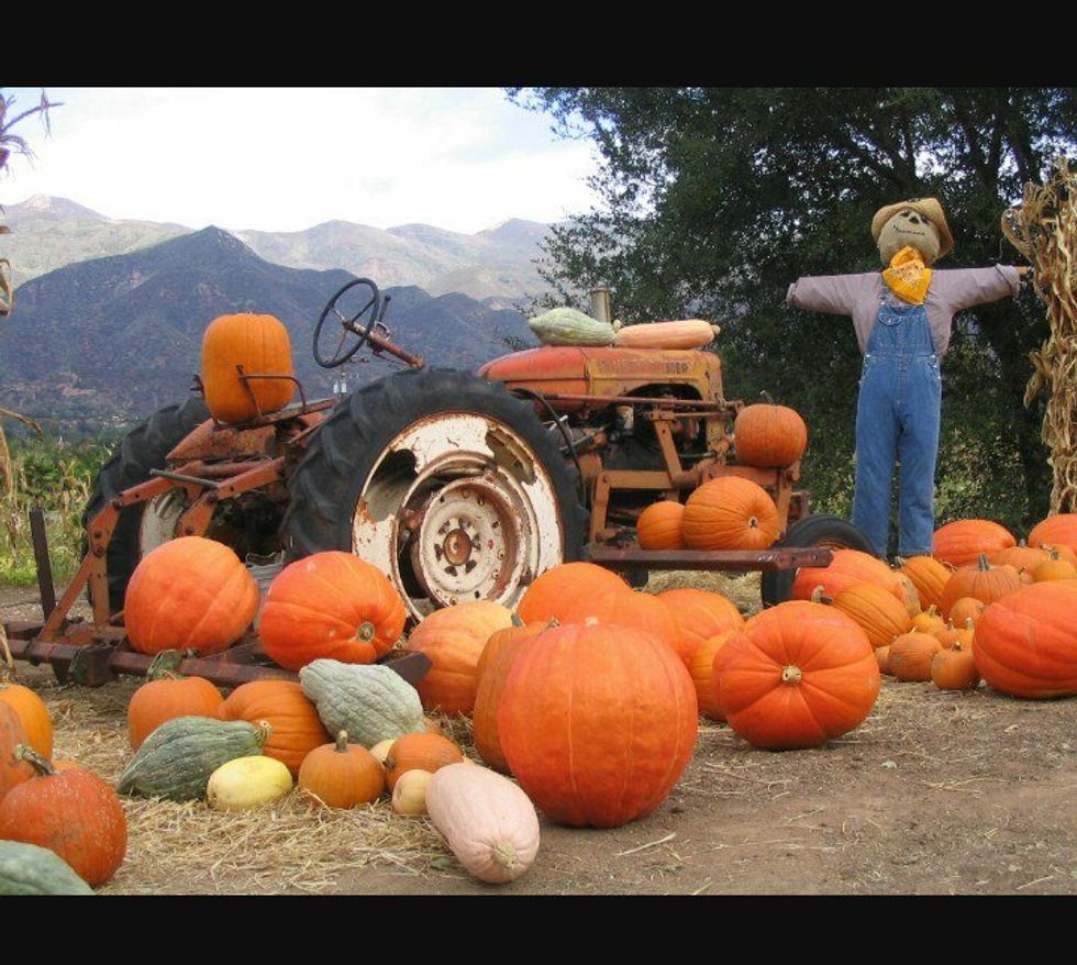 5 Things You Can Do This Fall