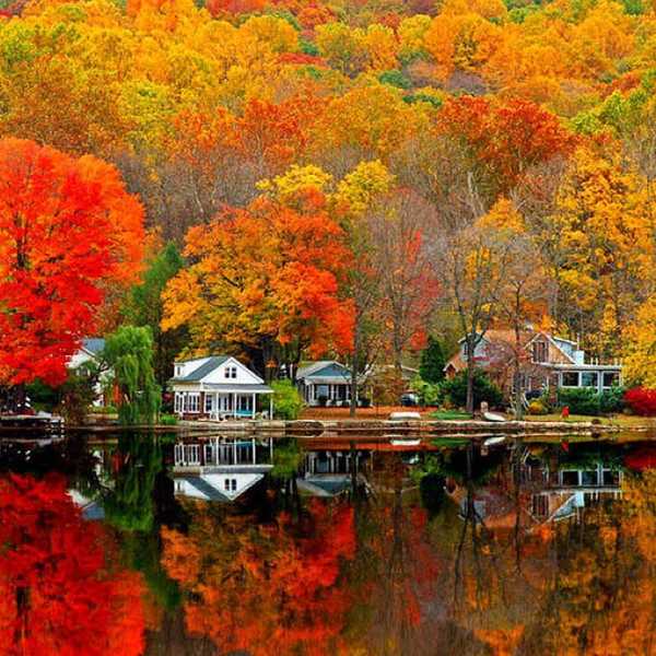 10 Reasons Why Fall Is The Best Season