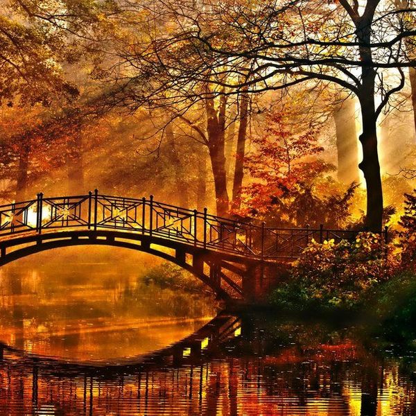 My Favorite Things About Fall