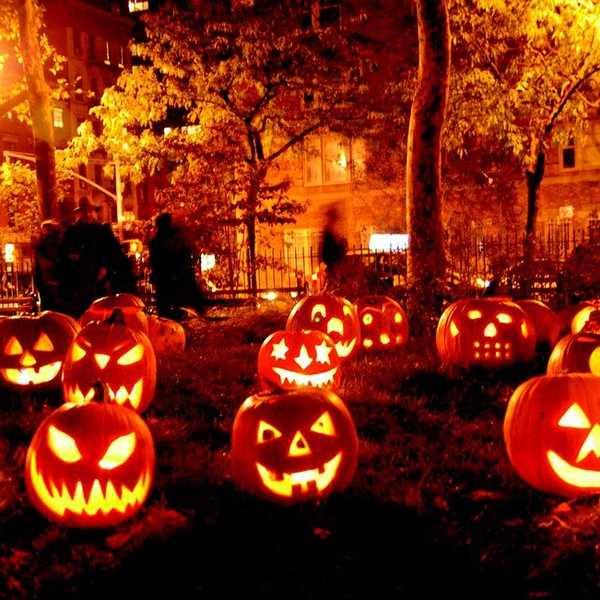 Not Everyone Sees The Beauty In Halloween