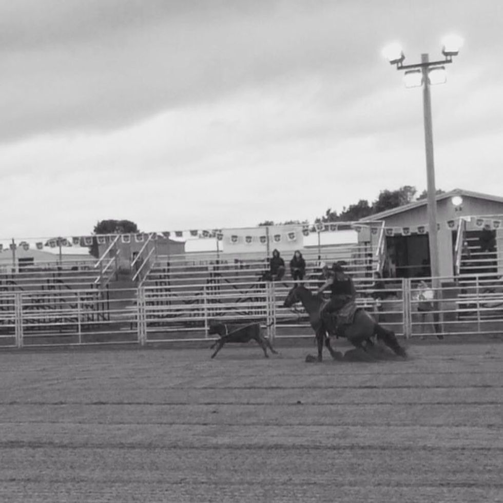 You Will Lose More Than You Will Win