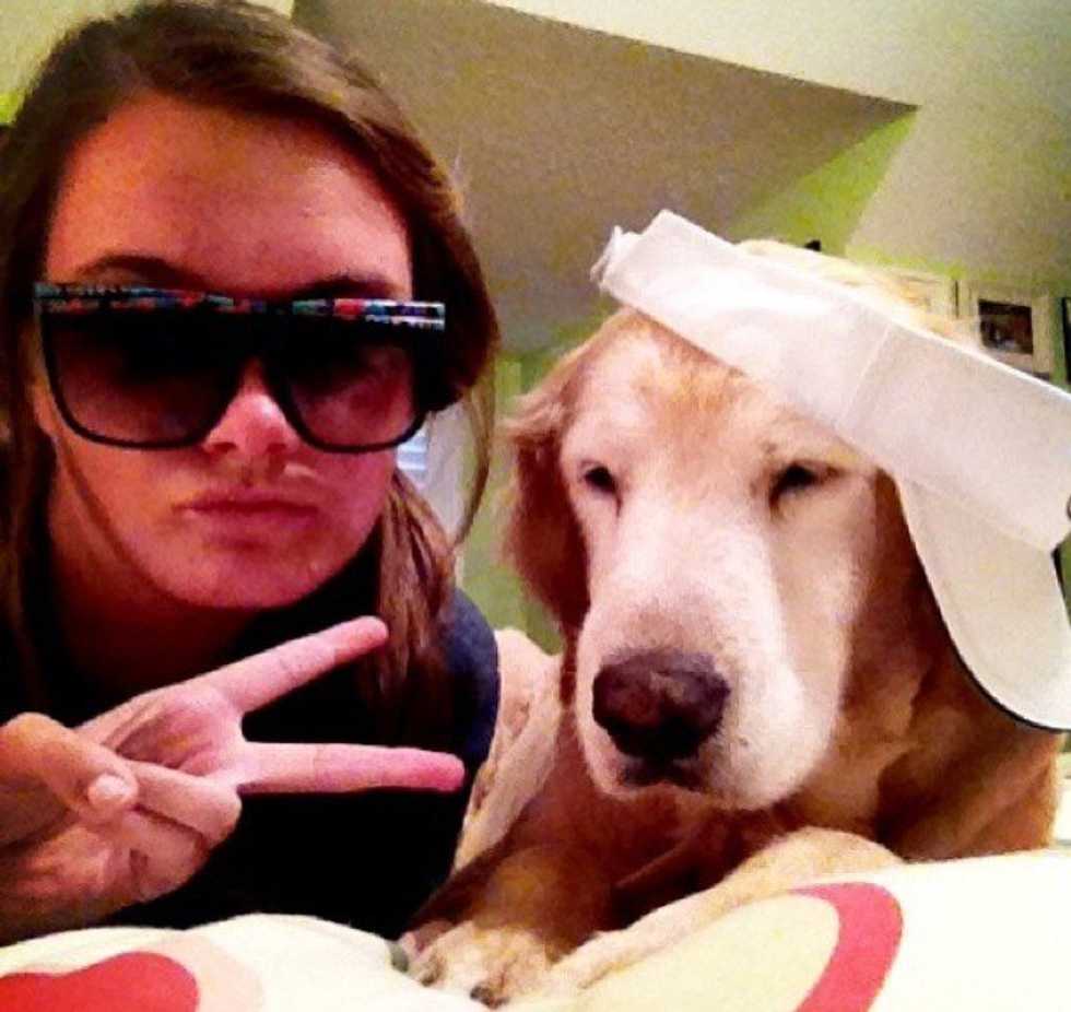 An Open Letter To Your Childhood Pet