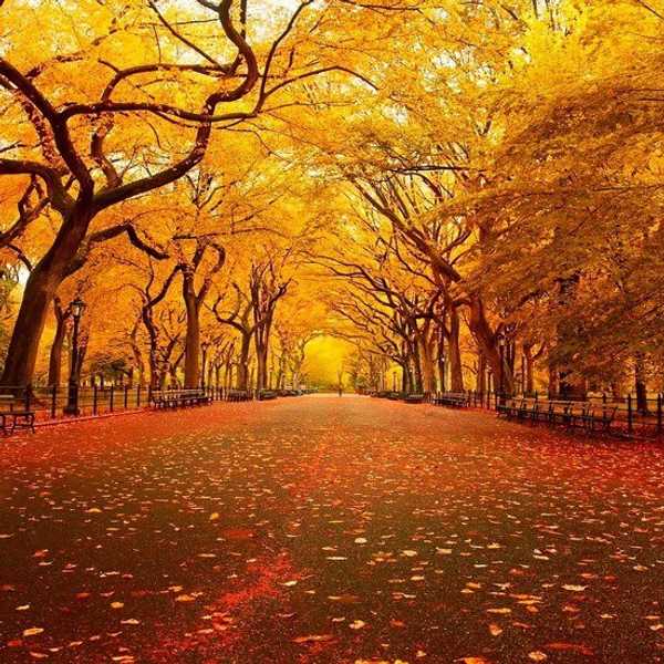 7 Fun Things To Do In The Fall